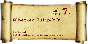 Albecker Tulipán névjegykártya